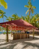 1317 saona-2