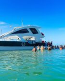Catamaran 1