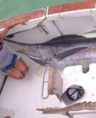 IMG-20210910-WA0022