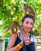 RA-MONKEYLAND #1