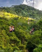 RA ZIP LINE #2